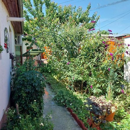 トゥルチャ Casa Calinヴィラ エクステリア 写真