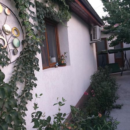 トゥルチャ Casa Calinヴィラ エクステリア 写真