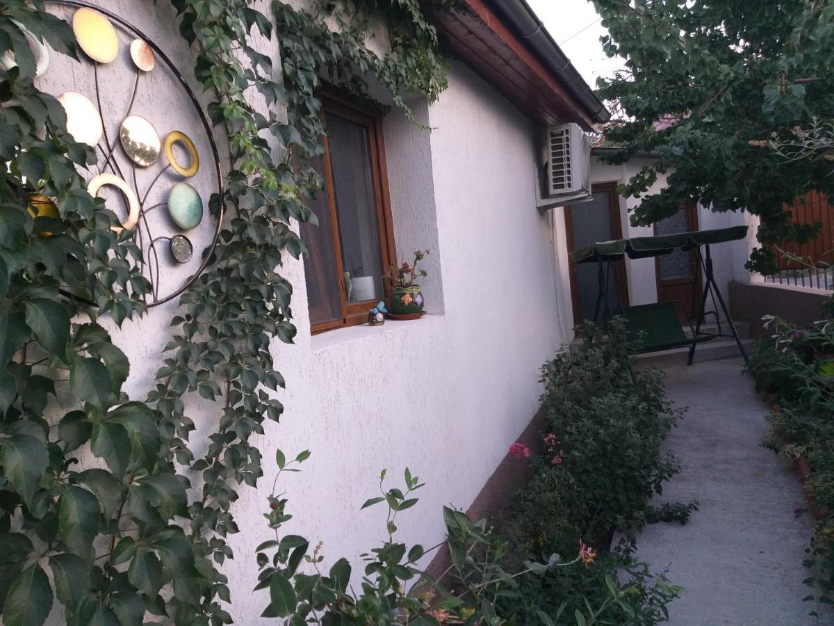 トゥルチャ Casa Calinヴィラ エクステリア 写真